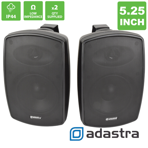 5.25" Indoor Background Speakers