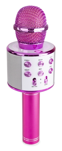 Karaoke Microphone with built-in Speakers 