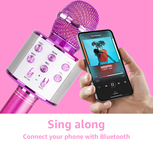 Karaoke Microphone