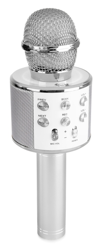 Karaoke Mic with built-in Speakers 