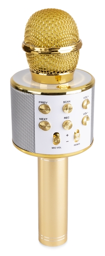 Karaoke Mic with built-in Speakers - 1 UNIT LEFT