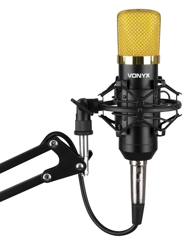 Studio Microphone Set with Boom arm & Pop Filter