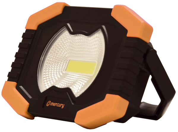 Compact work light and torch