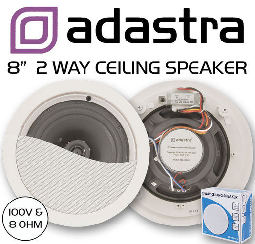 Ceiling Speaker - 2 Way with Control