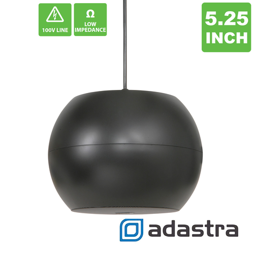Pendant Speaker - Wide Angle - PS5V-B - 5 Inch