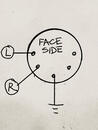 5 Pin Din Female to 2 RCA Male Plug thumbnail