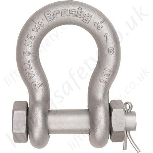 D shackle - Bow Shackle Nut bolt type