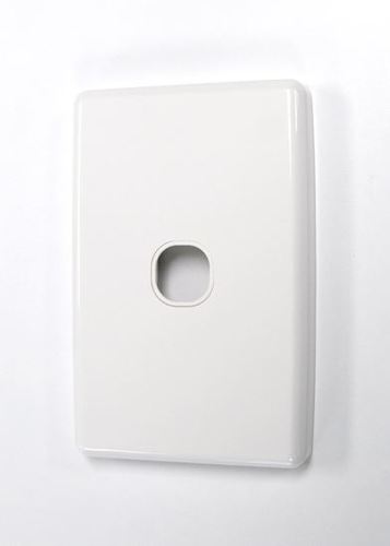 AMDEX Single Port Face Plate