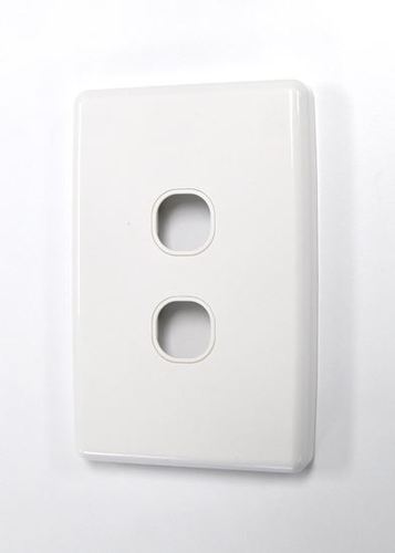 AMDEX Dual Port Face Plate
