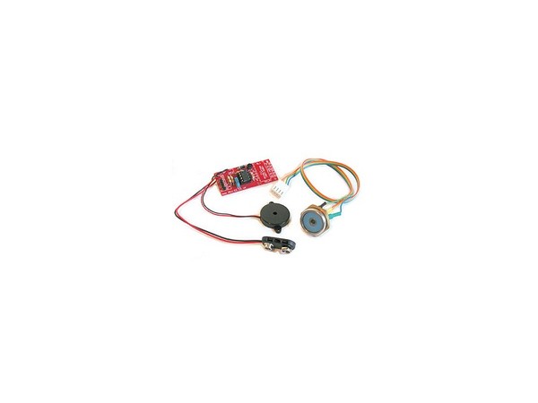 iButton Lock Kit.