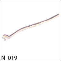 Stylus - ACOS GP19