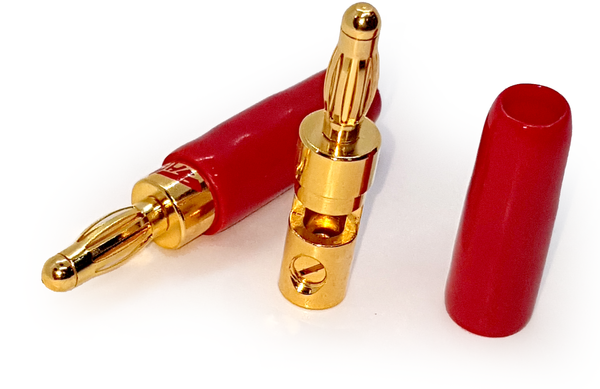 Shark Banana Plug Short. Gold High Quality. Red