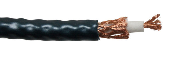 Shark Musical Dream Cable