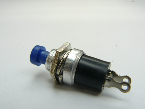 Switch Momentary Push Button Blue