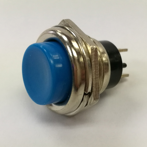 Switch Momentary Squat Push Button, Push On, 2 Amp